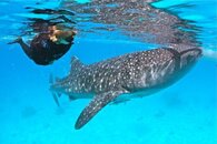IMG_3066.jpg