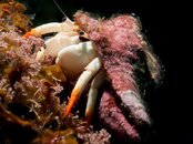 DSC00802-1.jpg
