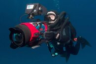 Jonathan-Bird-Bimini1.jpg