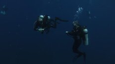 IMG_4330.jpg