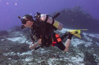 Diving-Cozumel-2014-2983.jpg