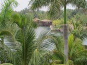 IMG_3522.jpg