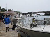 IMG_3534.jpg