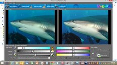 Smit Shark.jpg