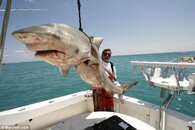 article-2042569-0E1B96A700000578-98_634x423.jpg