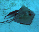 DSCN0794.JPG
