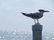IMG_5036.jpg
