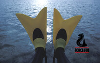 forcefin-169.jpg