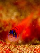 untitled shoot-111.jpg