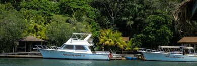 IMG_4178.jpg