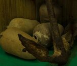 IMG_4197.jpg