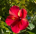 IMG_4199.jpg
