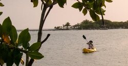 IMG_4294.jpg
