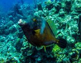 IMG_4365.jpg