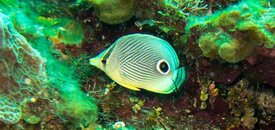 IMG_4428.jpg