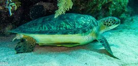 IMG_4438.jpg