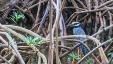 IMG_4464.jpg