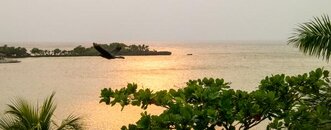 IMG_4481.jpg