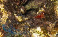 IMG_4494.jpg