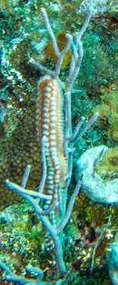 IMG_4526.jpg