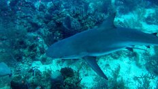 IMG_4627.jpg