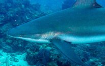 IMG_4639.jpg