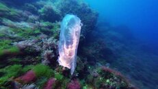 vlcsnap-2014-05-12-20h59m42s101.jpg