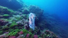 vlcsnap-2014-05-12-20h59m58s139.jpg