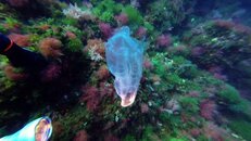 vlcsnap-2014-05-12-21h00m15s50.jpg