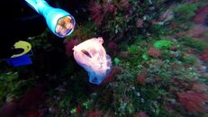 vlcsnap-2014-05-12-21h01m13s22.jpg