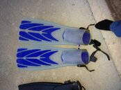 IMG_0512.jpg