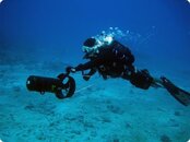 DPV-Tech-Course.jpg
