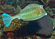 IMG_2100.jpg