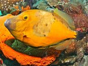 IMG_2149.jpg
