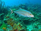 IMG_2274.jpg
