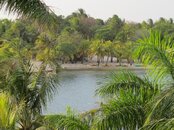 IMG_3287.jpg