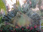IMG_3289.Vivid.jpg