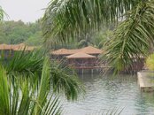 IMG_3537.jpg