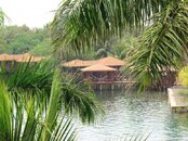 IMG_3537.Vivid.jpg