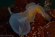 IMG_0279.jpg