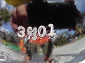 IMG1453.jpg