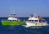 OD-Boats.jpg OD-Boats.jpg