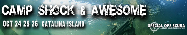 CSA-BANNER.jpg