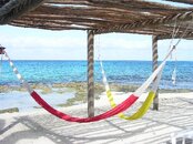 love-cafe-cozumel.jpg