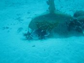 IMG_1216.jpg IMG_1216.jpg
