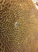 image-1669813100.jpg