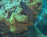 IMG_5857.jpg
