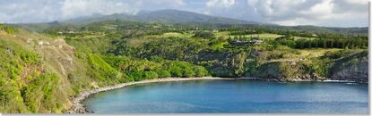 Snorkeling_Honolua_Bay_West_Maui.jpg