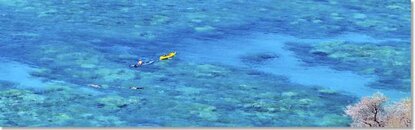 Kayak_Snorkeling_Coral_Gardens_Maui.jpg