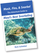 Mauis_Best_Snorkeling_Guidebook.png